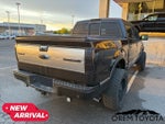 2012 Ford F-150 Platinum
