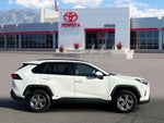 2024 Toyota RAV4 HYBRID Hybrid LE