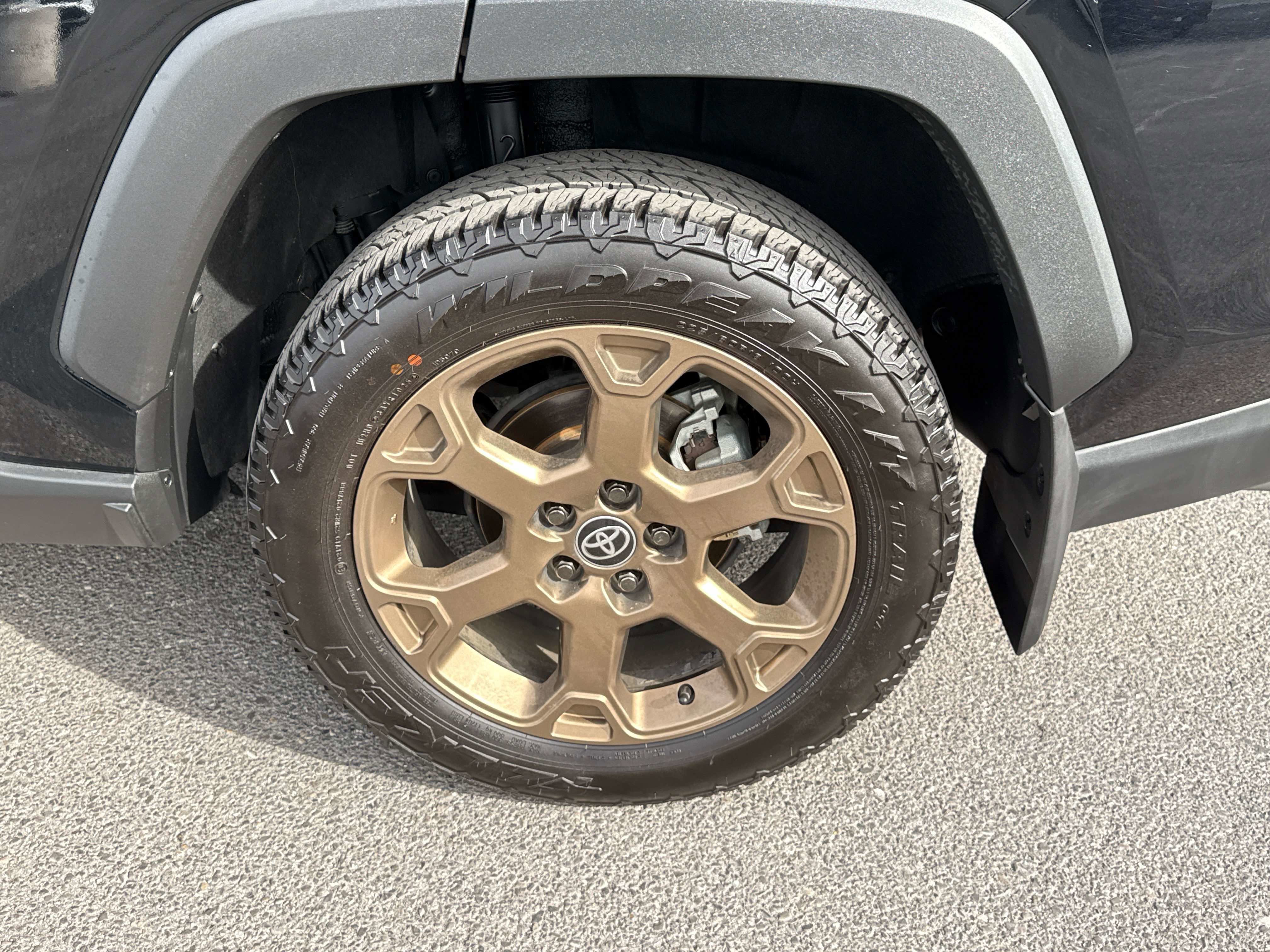 2024 Toyota RAV4 HYBRID Hybrid Woodland