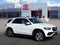2020 Mercedes-Benz GLE GLE 350