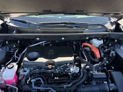 2025 Toyota RAV4 HYBRID Hybrid LE