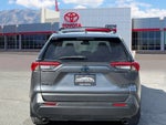 2021 Toyota RAV4 HYBRID Hybrid XLE