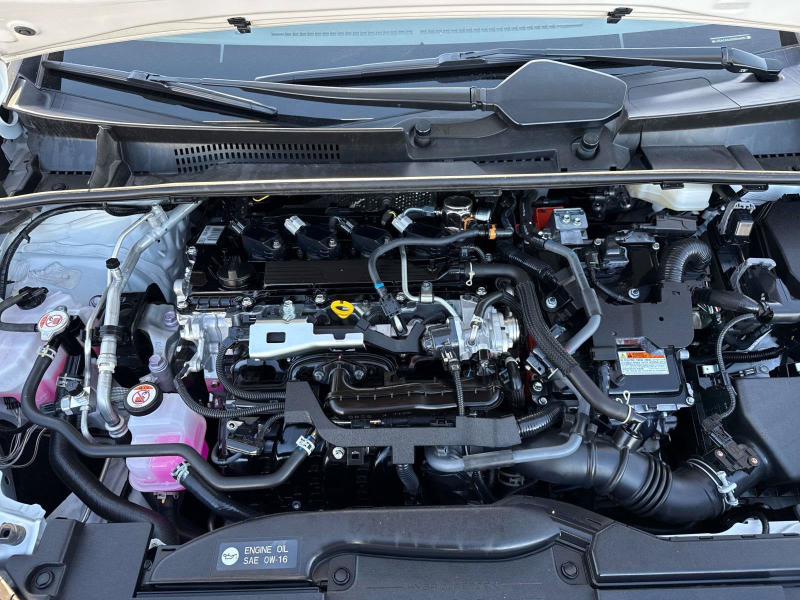 2025 Toyota Prius XLE