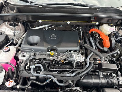 2024 Toyota Venza LE