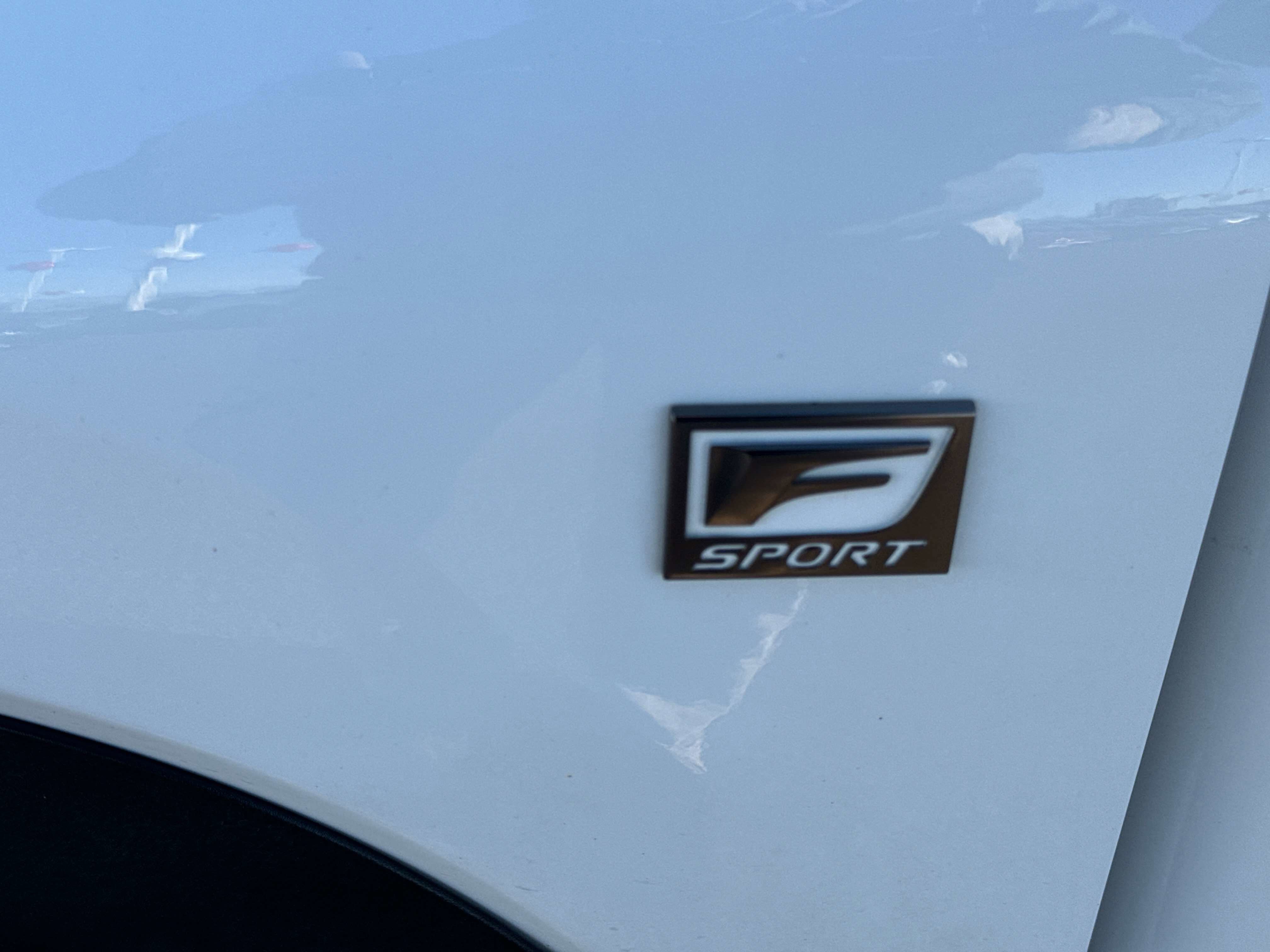 2021 Lexus NX 300 NX 300 F SPORT