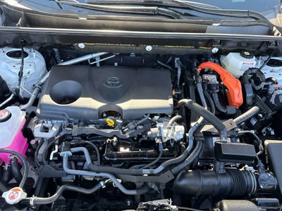 2025 Toyota RAV4 HYBRID Hybrid XLE Premium