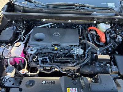 2025 Toyota RAV4 HYBRID Hybrid XLE