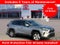 2025 Toyota RAV4 HYBRID Hybrid XLE
