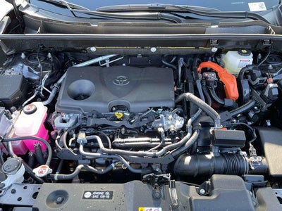 2025 Toyota RAV4 HYBRID Hybrid XLE