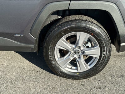 2025 Toyota RAV4 HYBRID Hybrid XLE