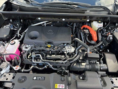 2025 Toyota RAV4 HYBRID Hybrid XLE