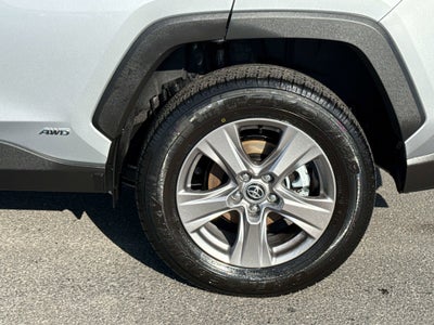 2025 Toyota RAV4 HYBRID Hybrid XLE