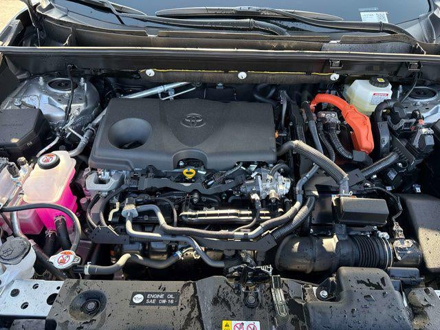 2025 Toyota RAV4 HYBRID Hybrid XLE