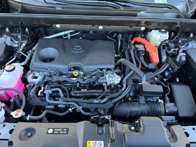 2025 Toyota RAV4 HYBRID Hybrid XLE