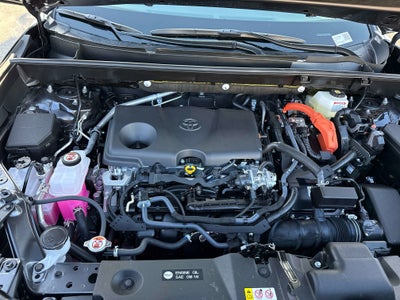 2025 Toyota RAV4 HYBRID Hybrid XLE